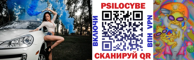 Псилоцибиновые грибы Cubensis Калининск
